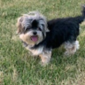 Meet your Posher, Leanne